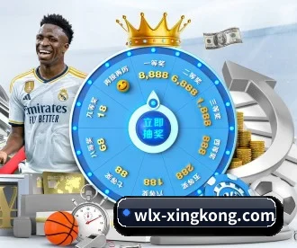 wlx-xingkong.com APP 深度功能
